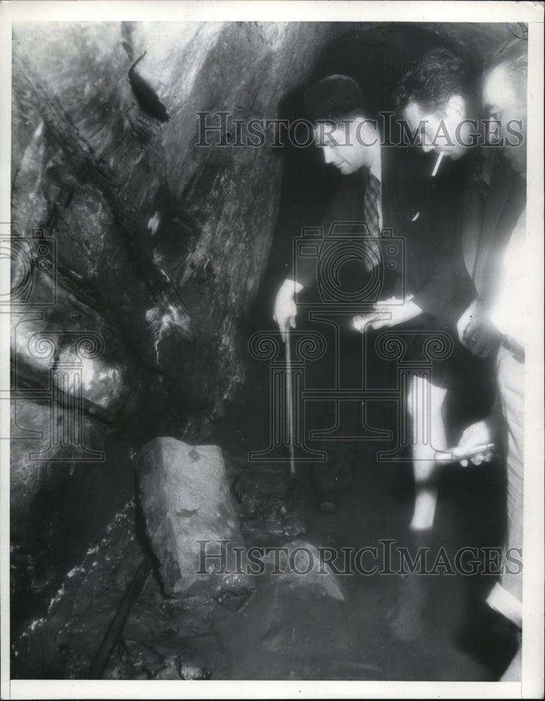 1937 Press Photo Picture of recent droppings in Elysrian Park, Califrornia