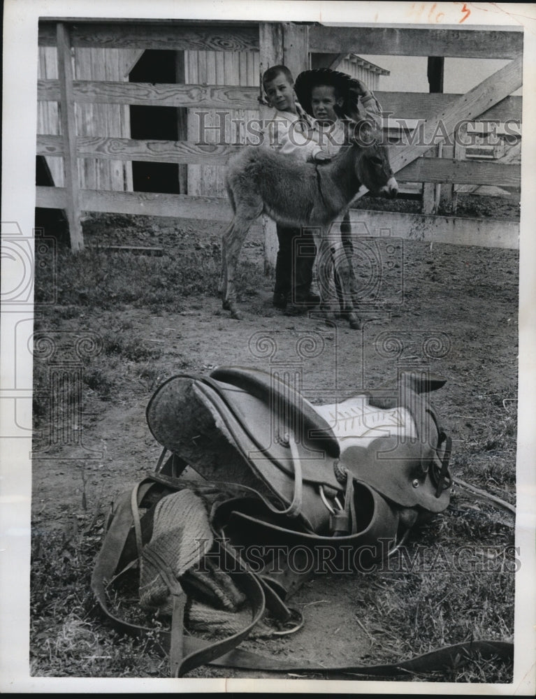 Load image into Gallery viewer, 1962 Press Photo Sam Akerman and Doug Mobley visit ranch near Watsonville
