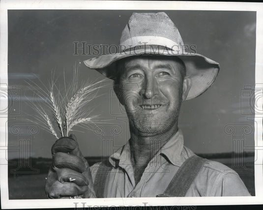 1956 Press Photo Leo Garver on His Wheat Farm - nee33664