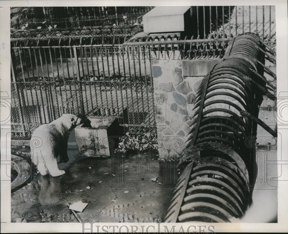 1938 Press Photo Bear Cage at Brookside Zoo, Cleveland - nee33986
