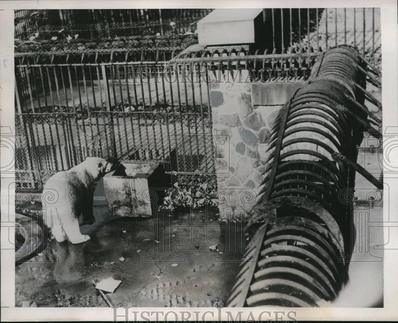Load image into Gallery viewer, 1938 Press Photo Bear Cage at Brookside Zoo, Cleveland - nee33986
