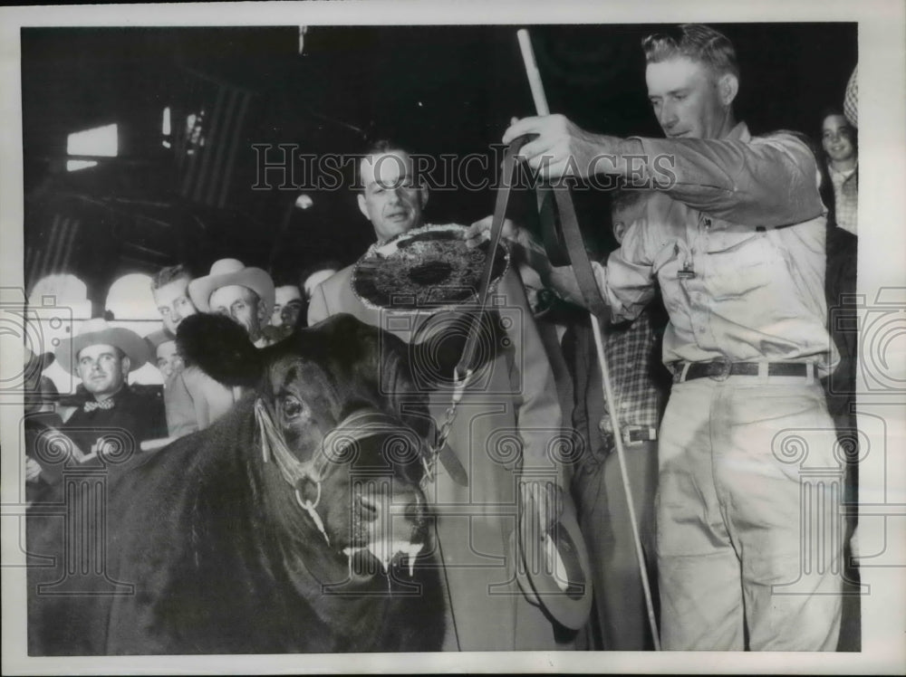 1955 Press Photo Farmer Exhibits Black Angus Steer, Eitelmere II