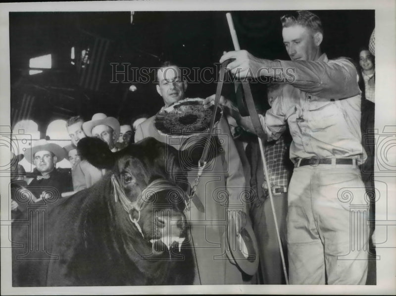 Load image into Gallery viewer, 1955 Press Photo Farmer Exhibits Black Angus Steer, Eitelmere II
