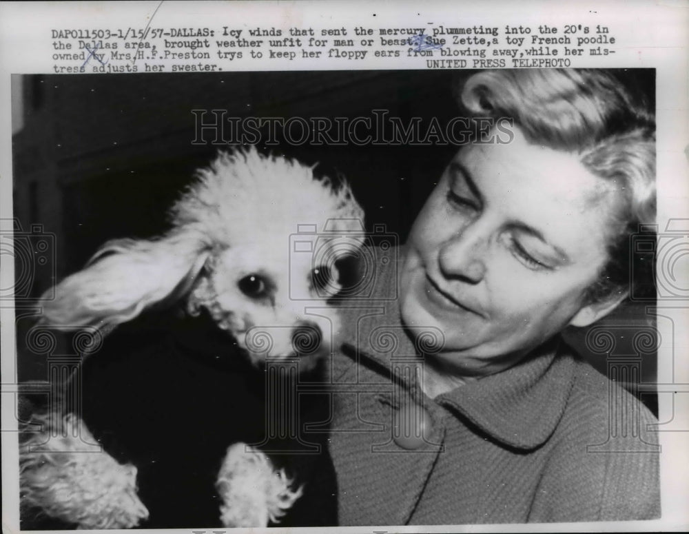 1957 Press Photo French Poodle Sue Zette and Owner Mrs. H.F. Preston - nee36727
