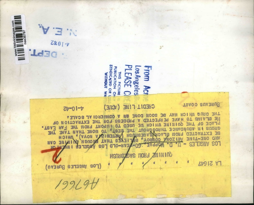 1942 Press Photo Inventor W.D. Hoppie Extracts Quinine from Black Sagebrush