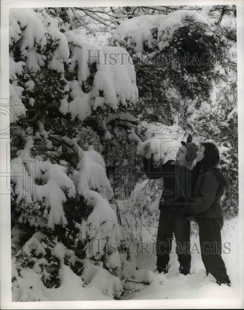 Load image into Gallery viewer, 1953 Press Photo Janet James and Joan Liebenthal looks at snow on trees
