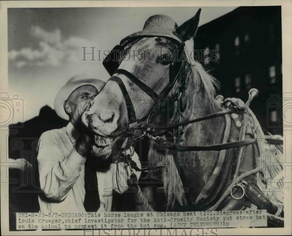 1948 Press Photo Louis Krueger, chief investigator with his horse - nee37405