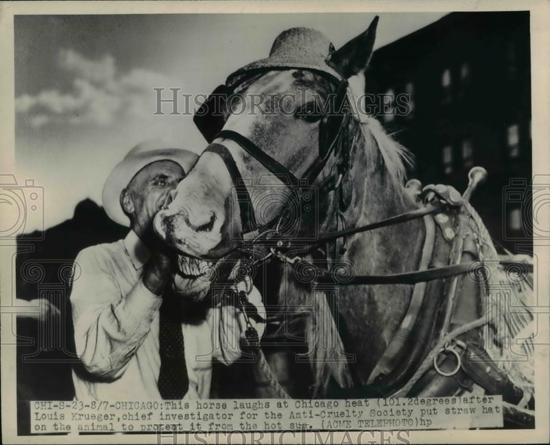 Load image into Gallery viewer, 1948 Press Photo Louis Krueger, chief investigator with his horse - nee37405
