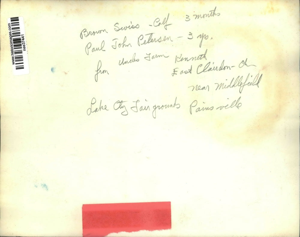 Press Photo Paul John Peterson Age 3 & Brown Swiss Calf at Uncles Farm