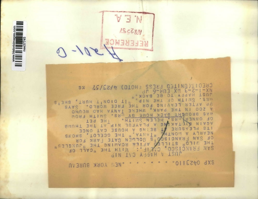 1957 Press Photo Mrs Helen Smith & Tanya Her Ocelot San Fancisco - nee37745