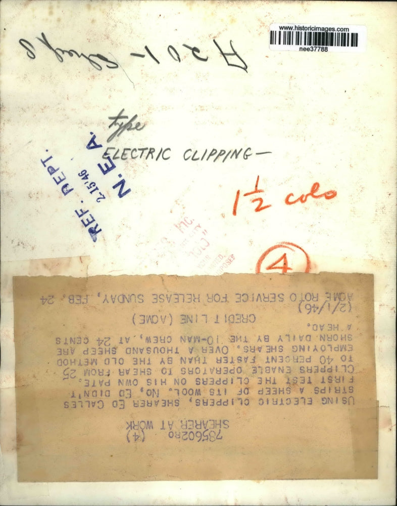 1946 Press Photo Electric Clippers Used by Ed Calles Increase Shearing 25-40%