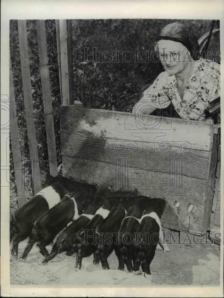 1941 Press Photo of Mrs. Anna Council with eight Berkshire piglets. - nee37837