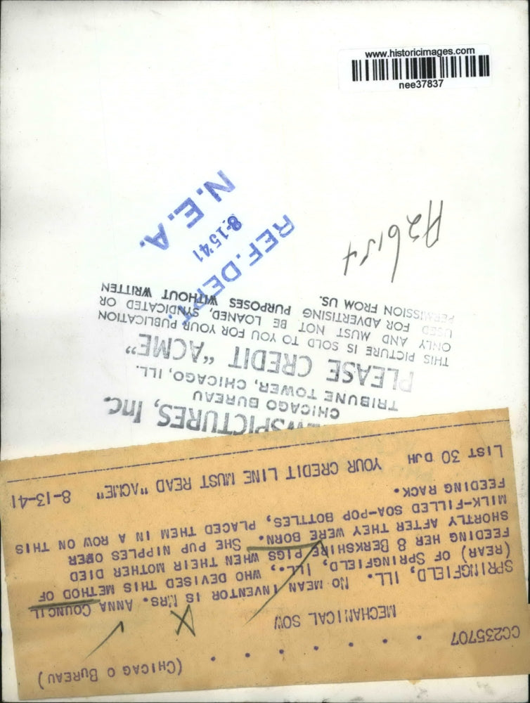 1941 Press Photo of Mrs. Anna Council with eight Berkshire piglets. - nee37837