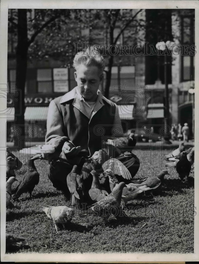 1947 Press Photo Chicago's Grant Park Friendly Birds Land on Mans Legs