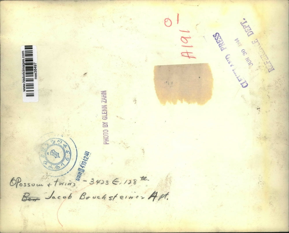 1944 Press Photo Opossum & twins in Jacob Bruchsteiner apartment