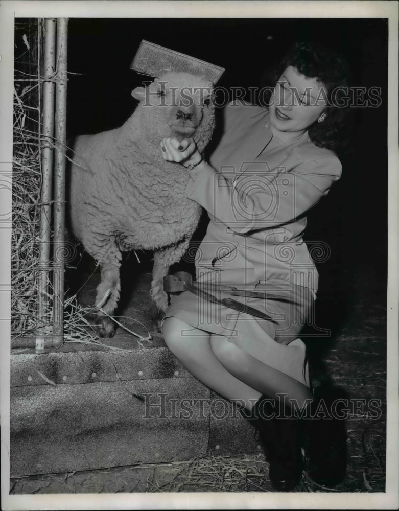 1947 Press Photo Mariam McCormick grooms Pee Wee a southdown lamb - nee38734