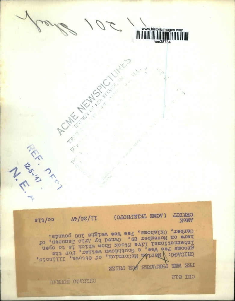 1947 Press Photo Mariam McCormick grooms Pee Wee a southdown lamb - nee38734