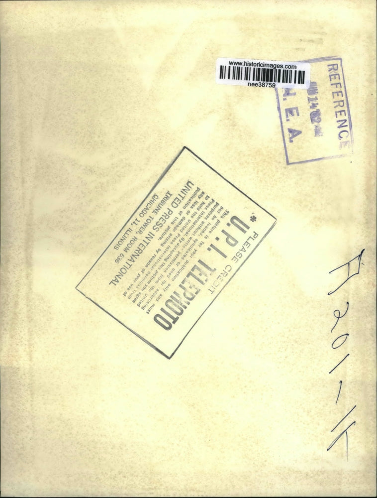 1962 Press Photo Mama Hippo keeps eye open as offspring nap - nee38759