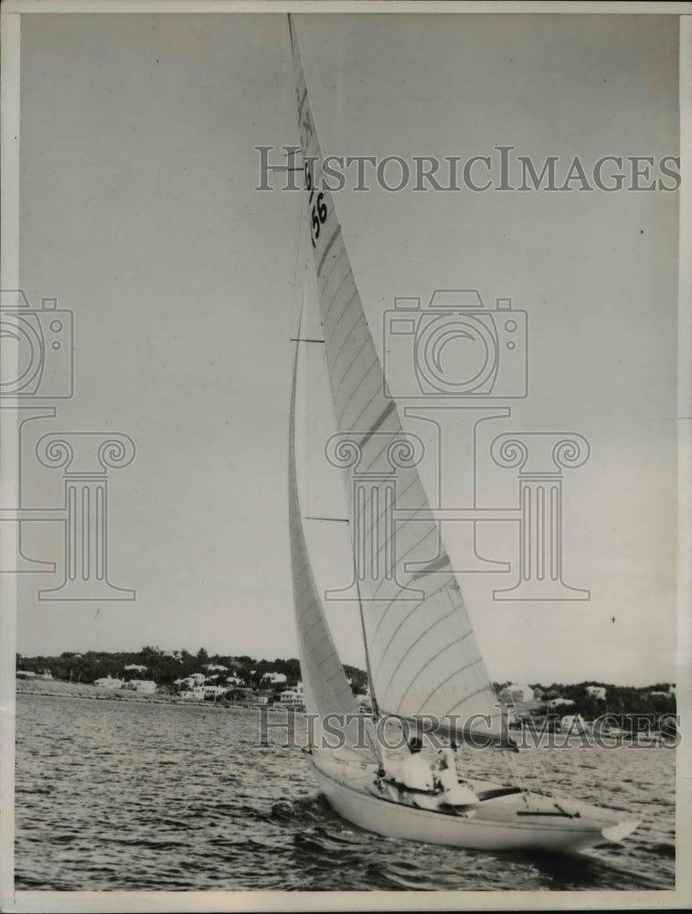 1938 Press Photo "Solenta" owned by Eldon and Kenneth Trimingham - nee39409