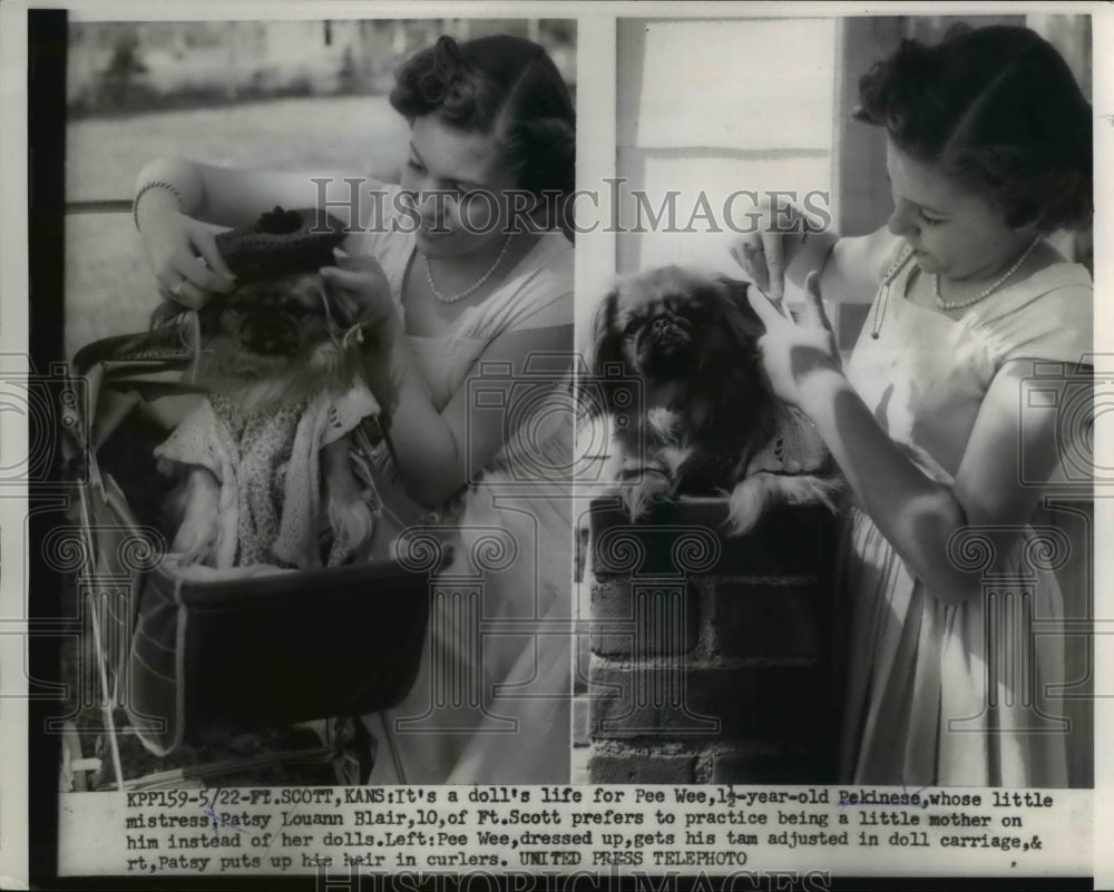 1954 Press Photo Pee Wee the Pekinese with her mistress, Patsy Louann Blair