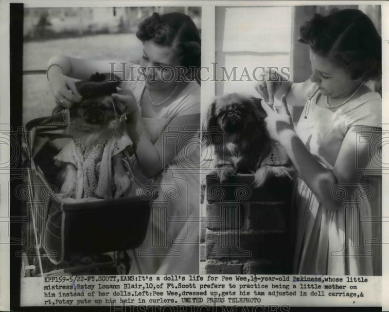 Load image into Gallery viewer, 1954 Press Photo Pee Wee the Pekinese with her mistress, Patsy Louann Blair
