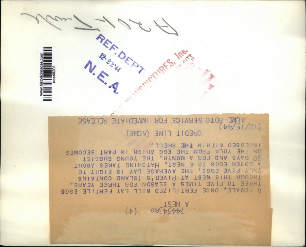 1944 Press Photo A nest at Piver's Island that contains five eggs - nee40201