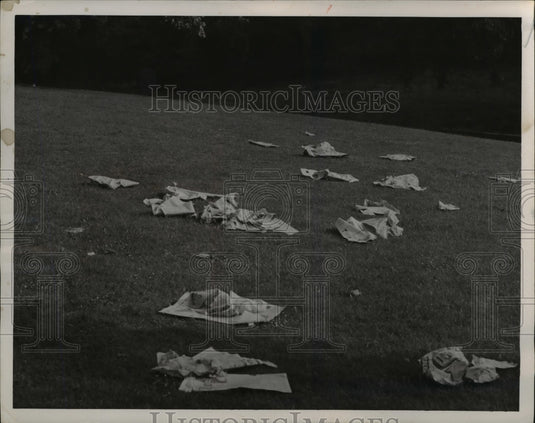 1951 Press Photo Lower Blvd. between Superior & Wade Park Aves. - nee40317