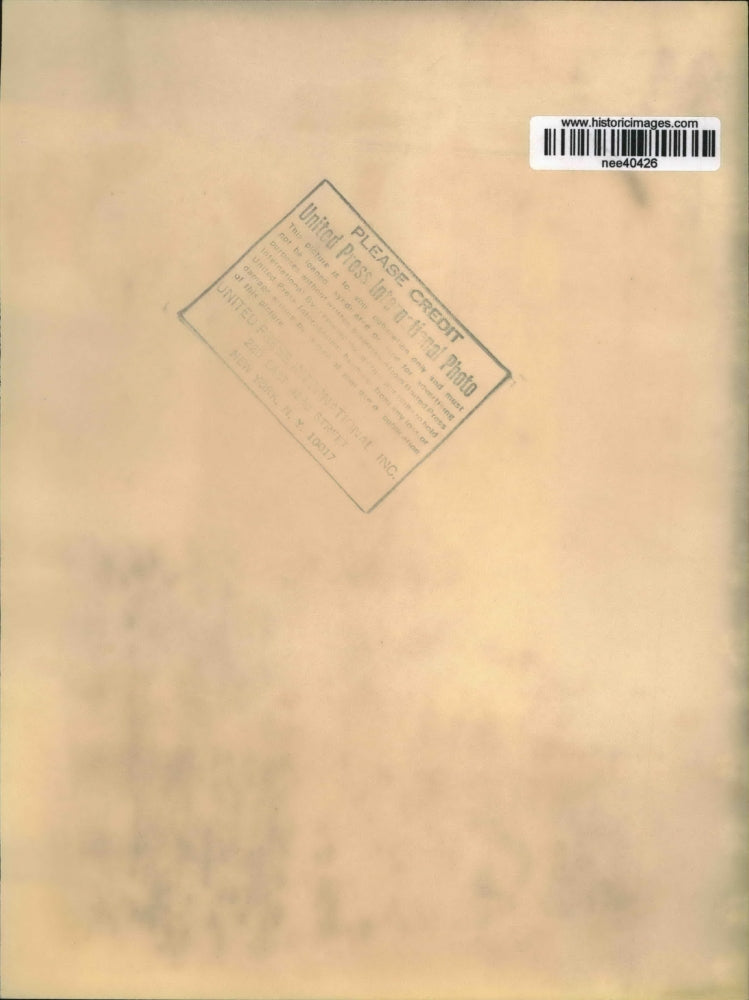 1970 Press Photo Rascal, 34-yr old Mexican Double Yellowhead Parrot, Bradford,PA