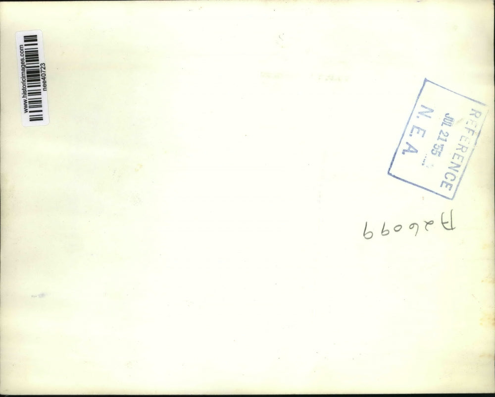 1955 Press Photo of three packinghouse workers restraining a bull after the