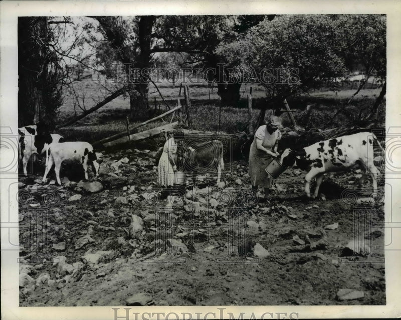 Load image into Gallery viewer, 1941 Press Photo of Bessie Wilson and Emma Wilson watering their cattle in
