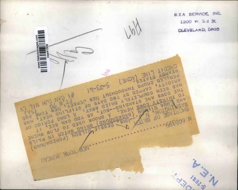 1941 Press Photo of Bessie Wilson and Emma Wilson watering their cattle in