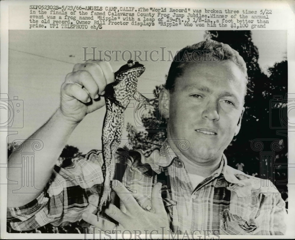 1966 Press Photo Bill Proctor with World Record & Winning Frog in Calavaras Co.