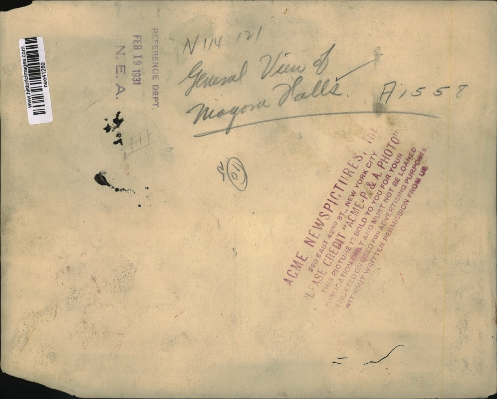 1931 Press Photo Niagara Falls General View New York