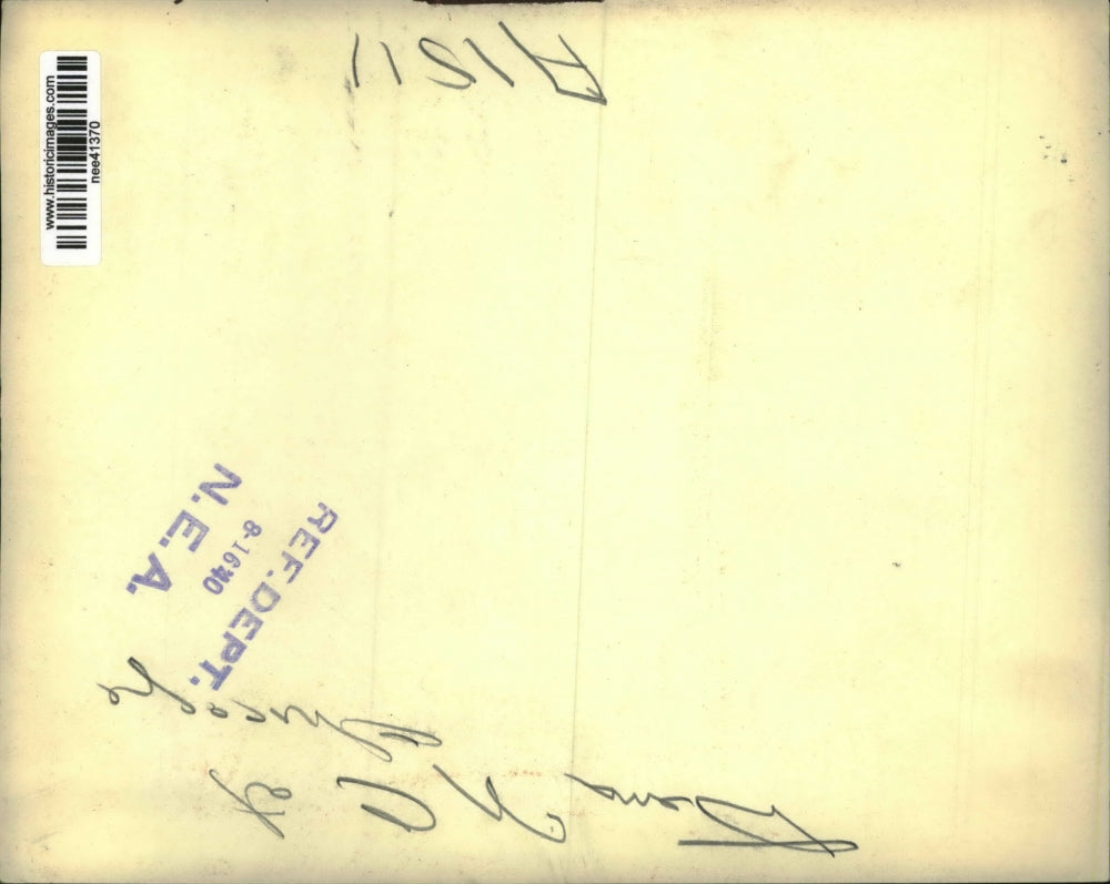 1940 Press Photo Democratic National Convention, Chicago - nee41370