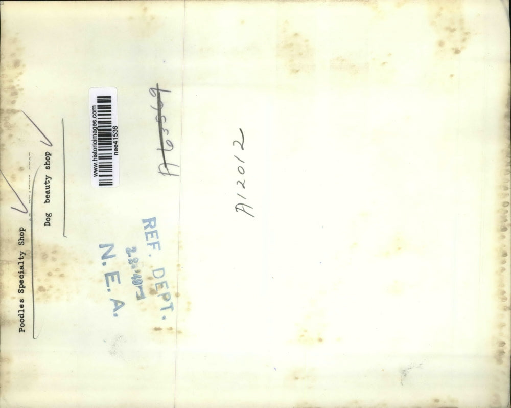 1949 Press Photo Poodles Specialty Shop -man grooming poodle - nee41536