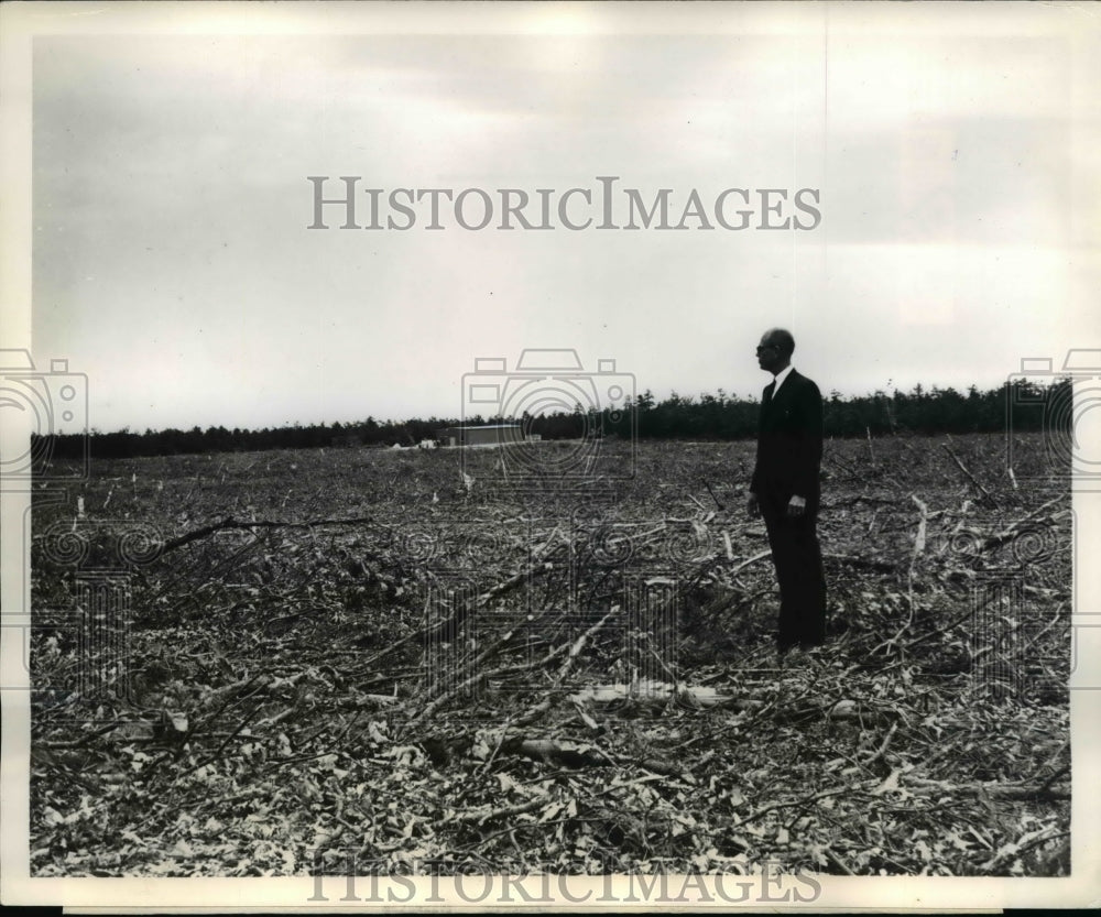 1950 Press Photo A man looks over what was forest around Atlantic City Airport.