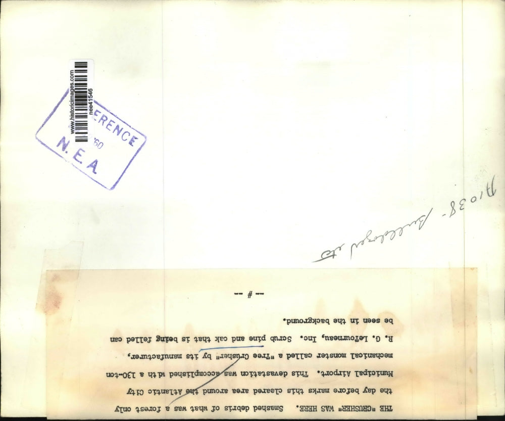 1950 Press Photo A man looks over what was forest around Atlantic City Airport.