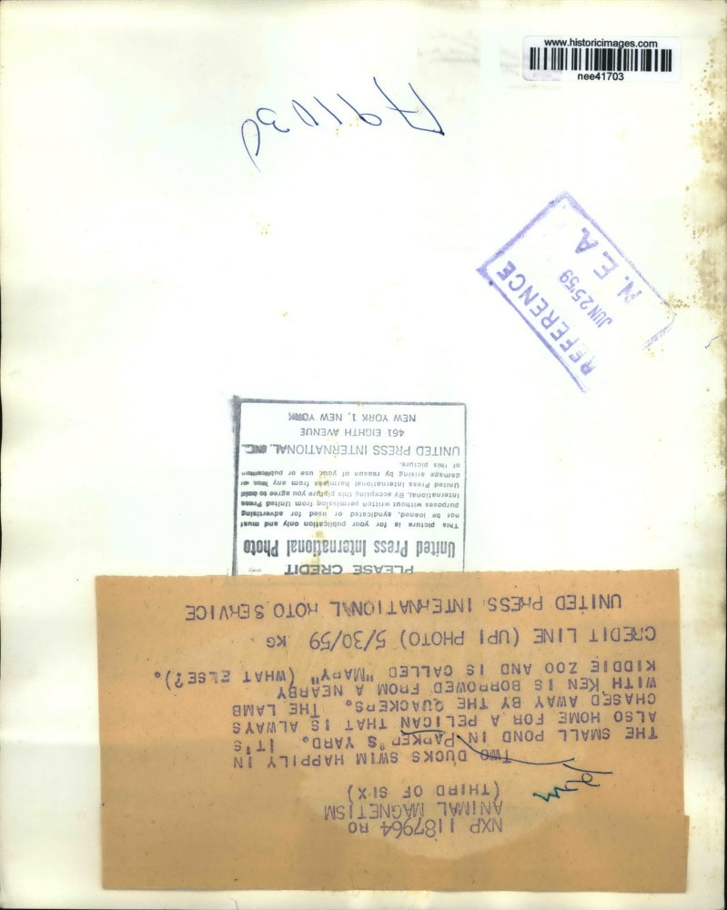 1959 Press Photo Pond ducks in Parkers Yard, Lamb with Ken from Kiddie Zoo