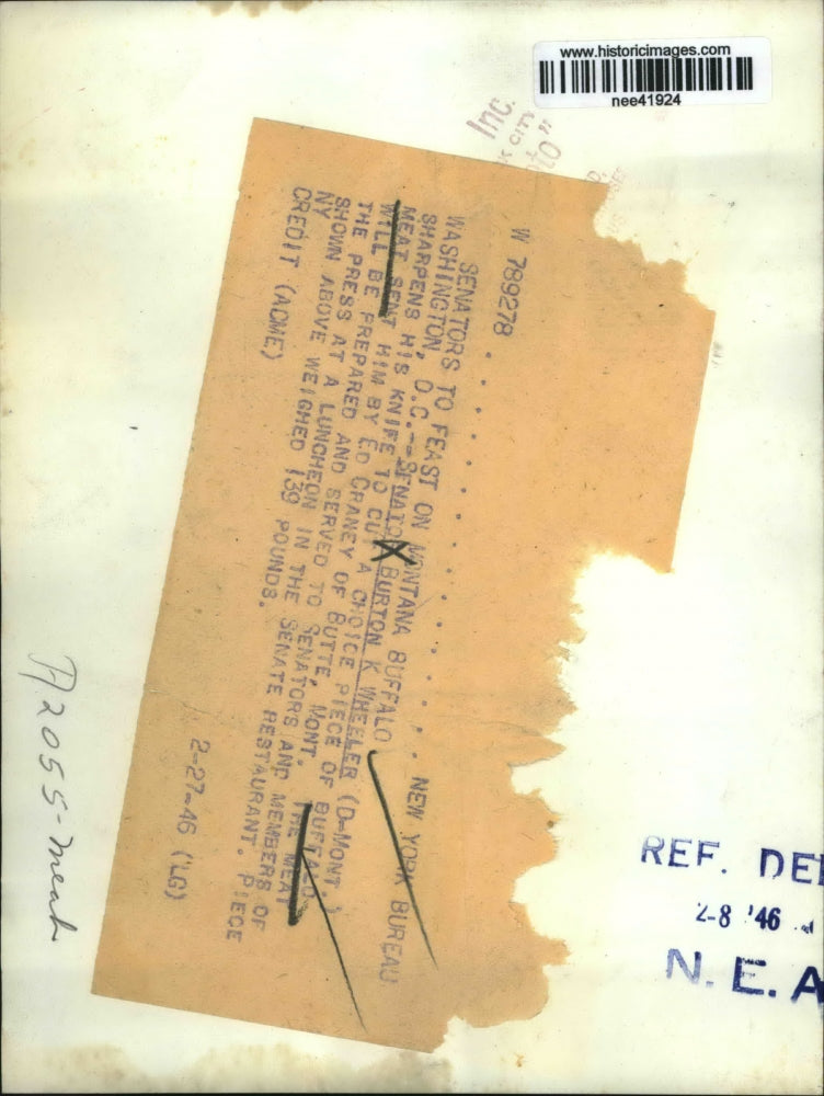 1946 Press Photo Burton K wheeler sharpens knife to cut Buffalo meat, Washington