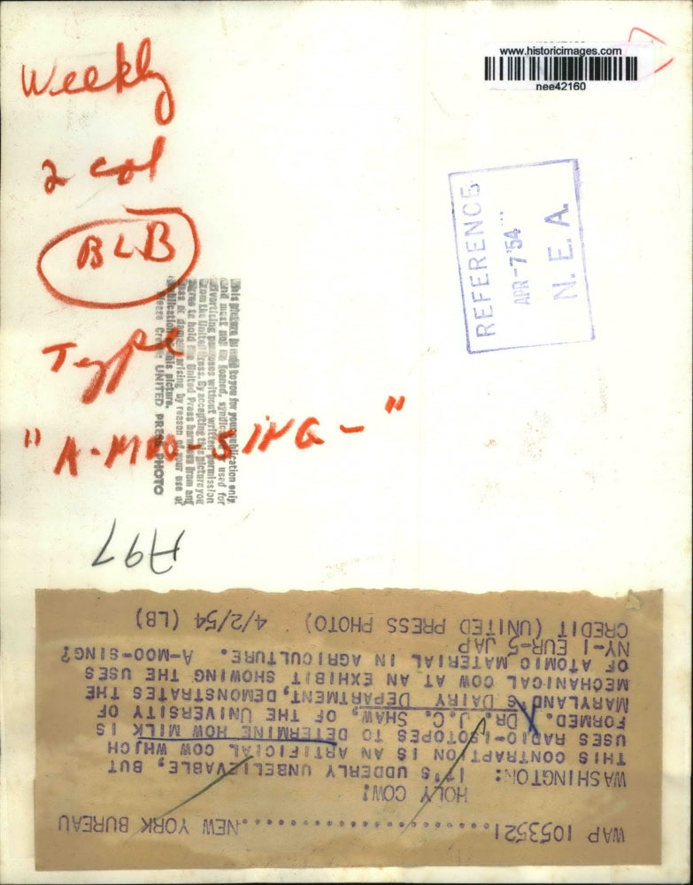 1954 Press Photo Dr. J.C. Shaw of University of Maryland with Mechanical Cow