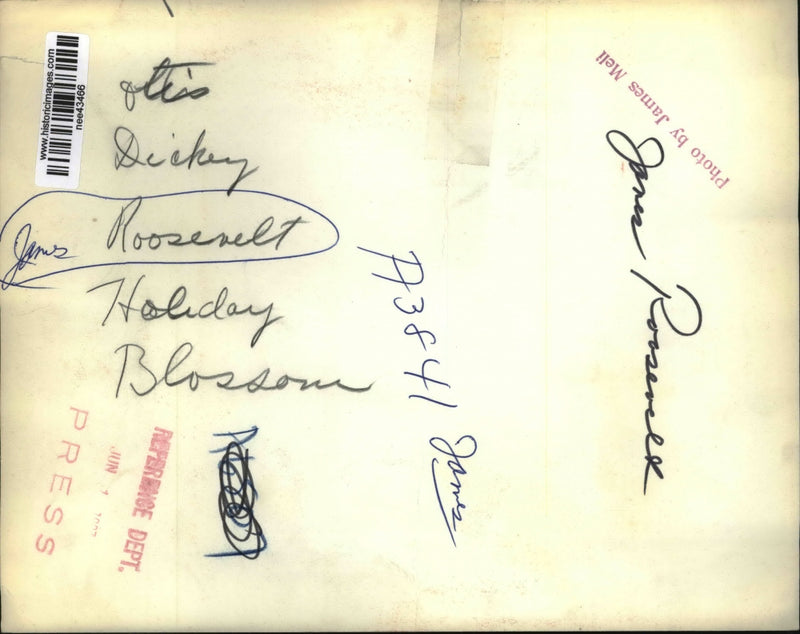 Load image into Gallery viewer, Press Photo James Roosevelt, Holiday Blossom
