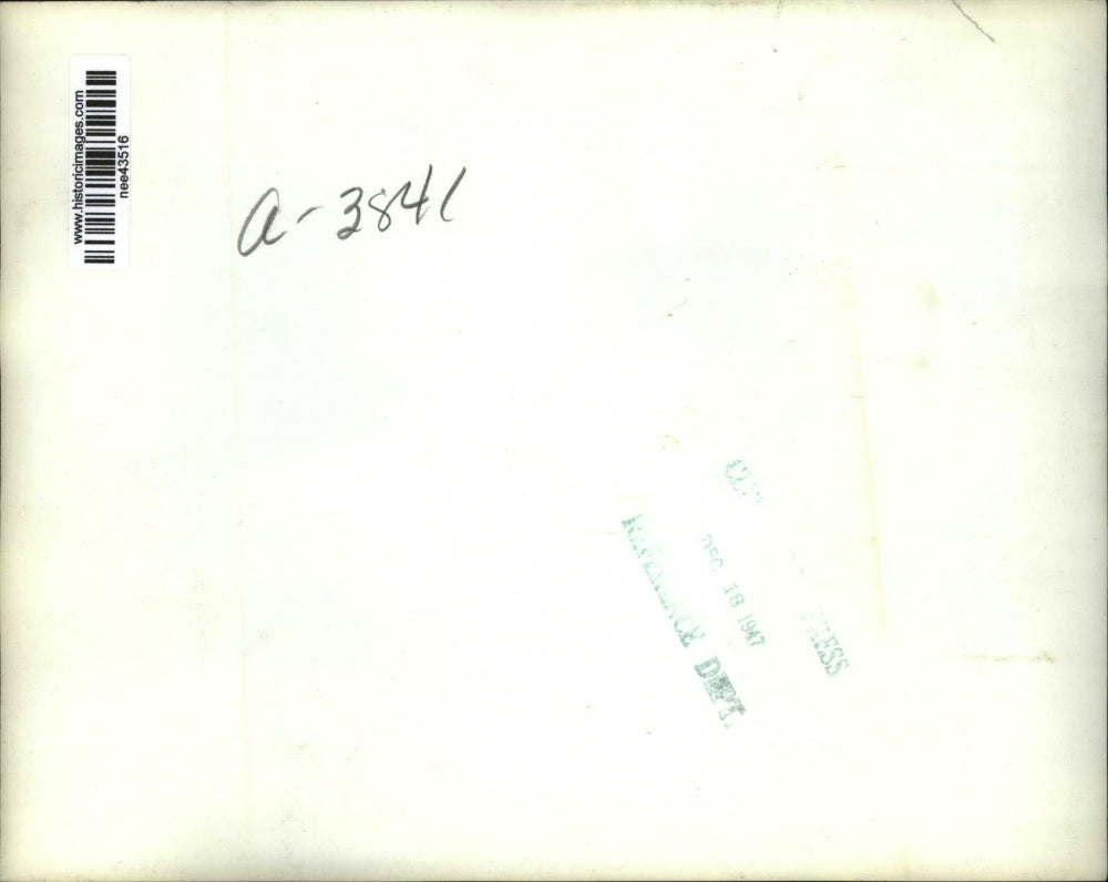 1947 Press Photo Woodsmen Cut Christmas Trees , Elliott Roosevelt