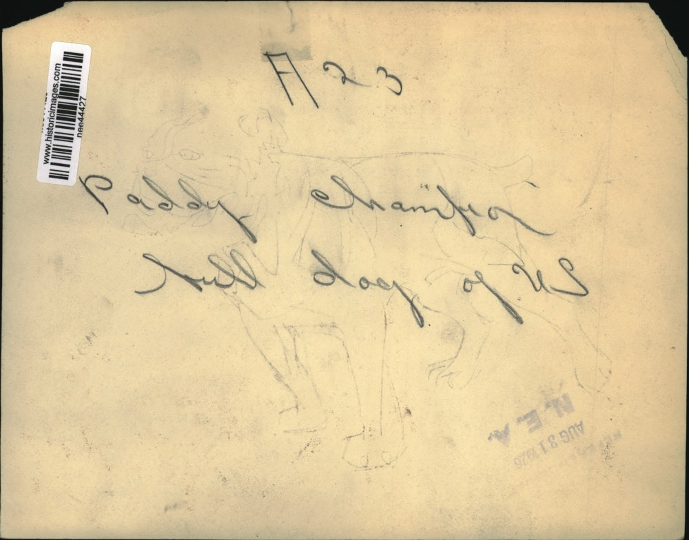 1926 Press Photo Paddy Champion Bull Dog ofUS