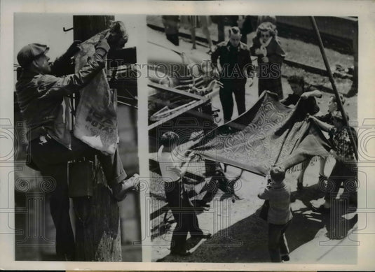 1947 Press Photo Chicago Frank R White attempts to bag stranded cat.
