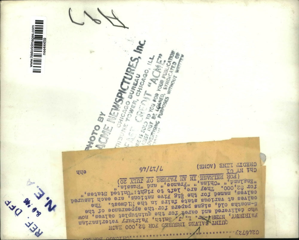 1946 Press Photo Fairbury Neb. L J Smith Veterinarian who delivered quintuplets.