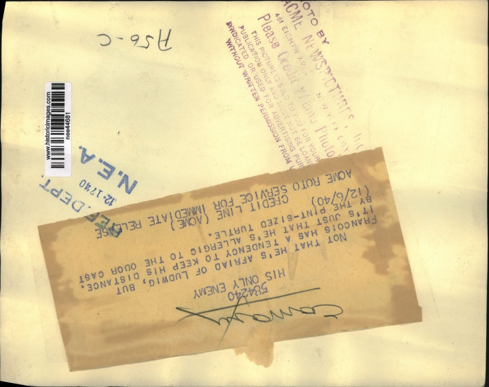 1940 Press Photo of a turtle named Ludwig and a canary named Francois.