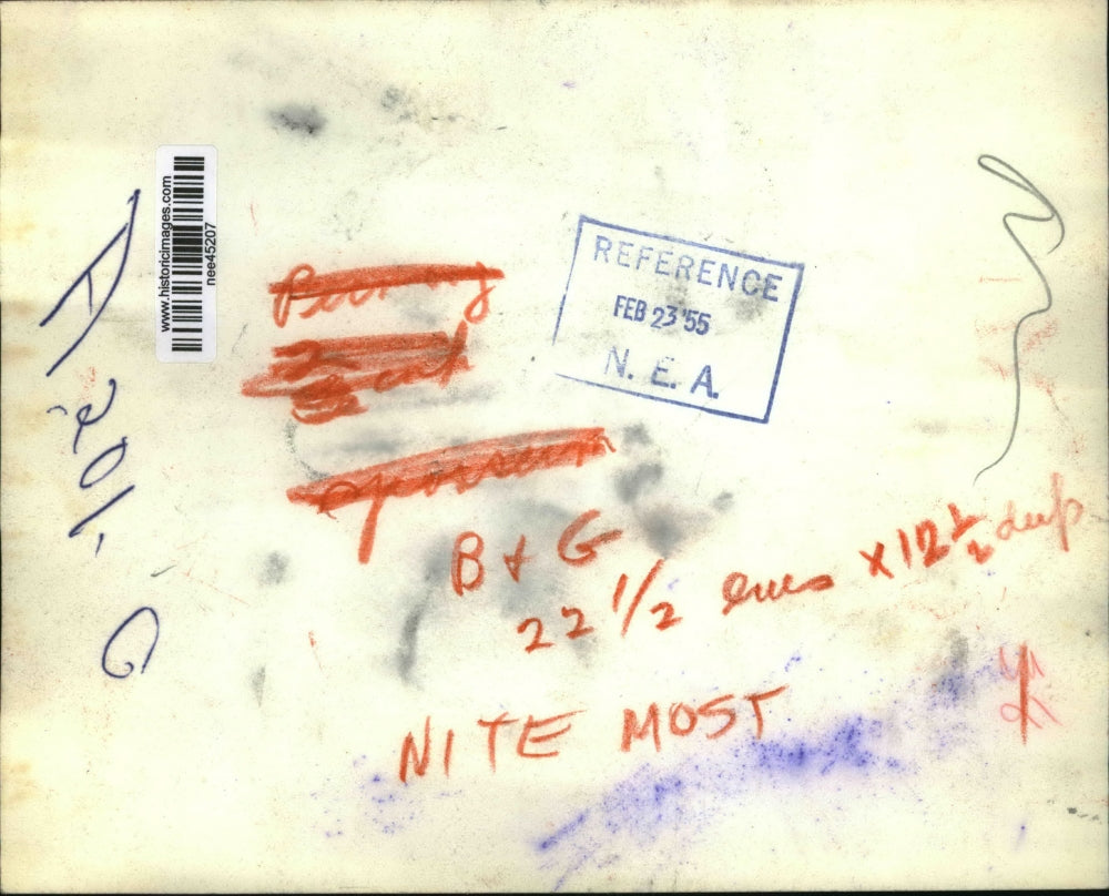 1955 Press Photo Opossum Hiding on Dime Store Shelf, Columbus Ohio - nee45207