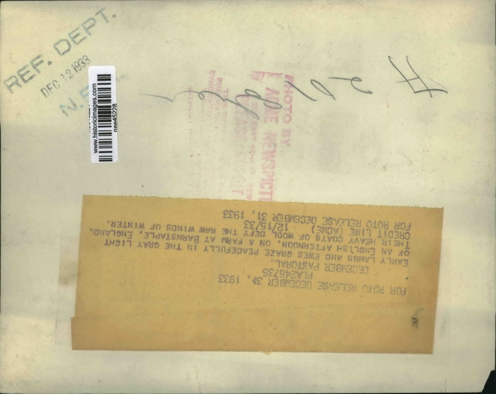 1933 Press Photo Barnstable England sheep's wool - nee45228