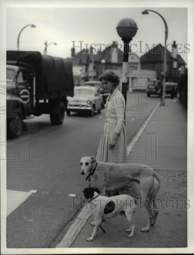 1958 Press Photo Terrier Dog, Owner Escort Blind Greyhound in Street, England