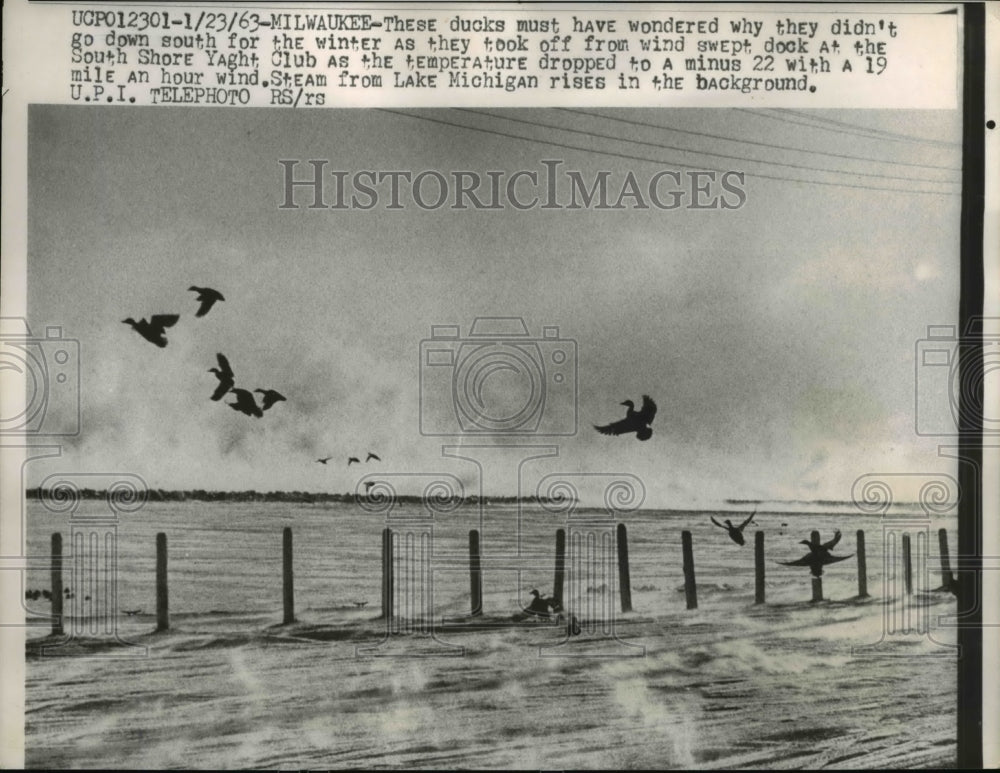 1943 Press Photo Ducks Take Off From Wind Swept Dock At The Yacht Club